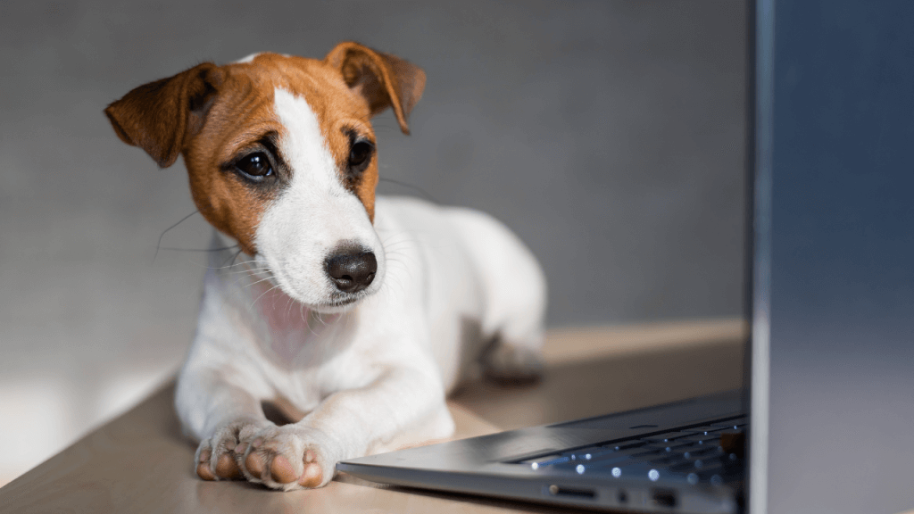 вовлечённость